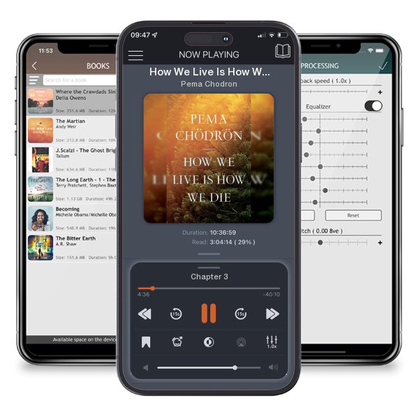 Download fo free audiobook How We Live Is How We Die by Pema Chodron and listen anywhere on your iOS devices in the ListenBook app.