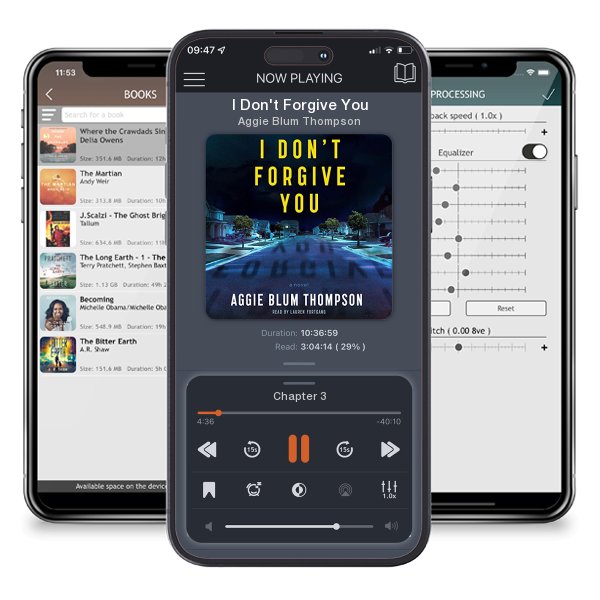 Download fo free audiobook I Don't Forgive You by Aggie Blum Thompson and listen anywhere on your iOS devices in the ListenBook app.