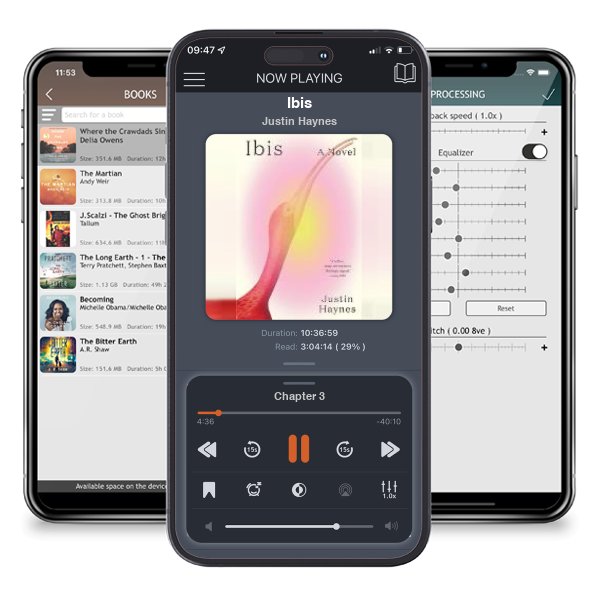 Download fo free audiobook Ibis by Justin Haynes and listen anywhere on your iOS devices in the ListenBook app.
