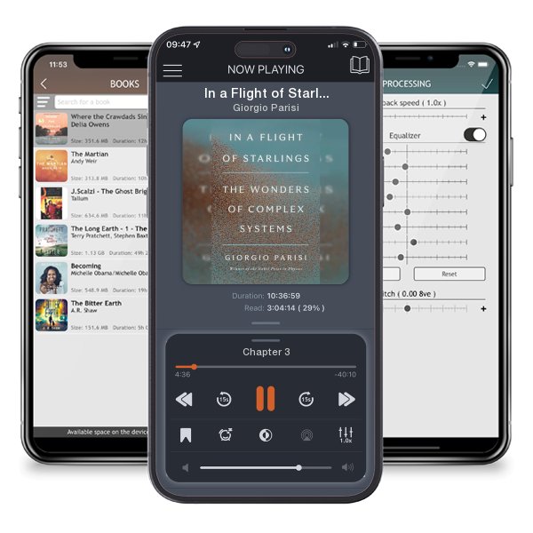 Download fo free audiobook In a Flight of Starlings: The Wonders of Complex Systems by Giorgio Parisi and listen anywhere on your iOS devices in the ListenBook app.