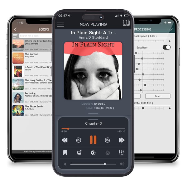 Download fo free audiobook In Plain Sight: A True Story of Kidnapping and Rape by Anna D Stoddard and listen anywhere on your iOS devices in the ListenBook app.