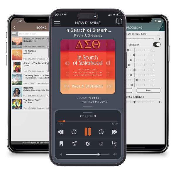 Download fo free audiobook In Search of Sisterhood: Delta Sigma Theta and the Challenge of the Black Sorority Movement by Paula J. Giddings and listen anywhere on your iOS devices in the ListenBook app.