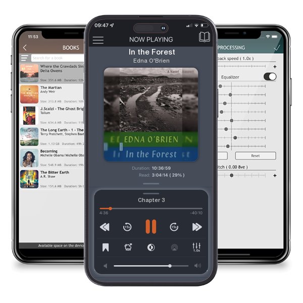 Download fo free audiobook In the Forest by Edna O'Brien and listen anywhere on your iOS devices in the ListenBook app.