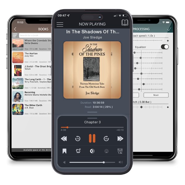 Download fo free audiobook In The Shadows Of The Pines by Joe Sledge and listen anywhere on your iOS devices in the ListenBook app.