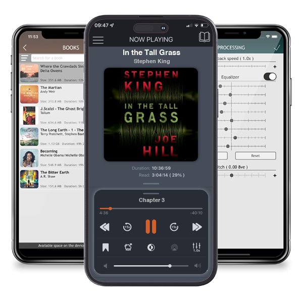 Download fo free audiobook In the Tall Grass by Stephen King and listen anywhere on your iOS devices in the ListenBook app.