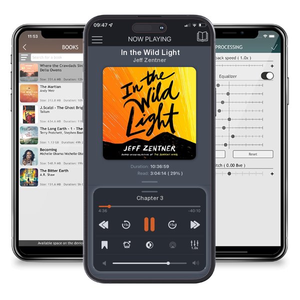 Download fo free audiobook In the Wild Light by Jeff Zentner and listen anywhere on your iOS devices in the ListenBook app.