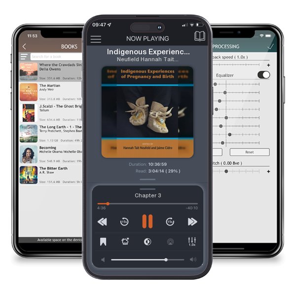 Download fo free audiobook Indigenous Experiences of Preguancy and Birth by Neufield Hannah Tait and Jaime Cidro and listen anywhere on your iOS devices in the ListenBook app.