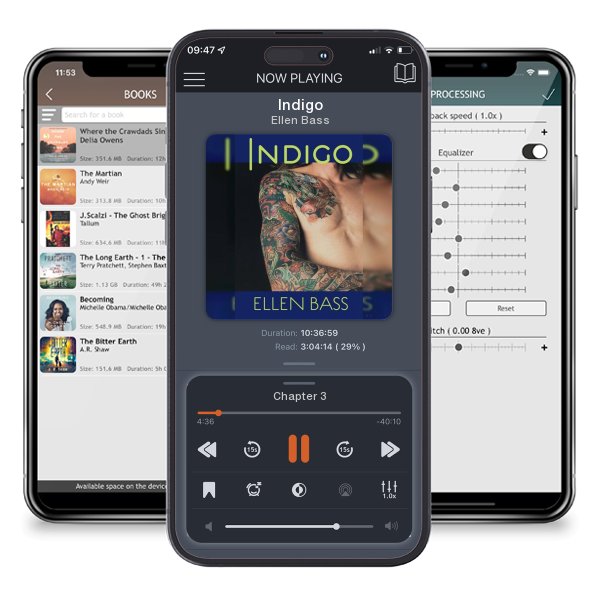 Download fo free audiobook Indigo by Ellen Bass and listen anywhere on your iOS devices in the ListenBook app.