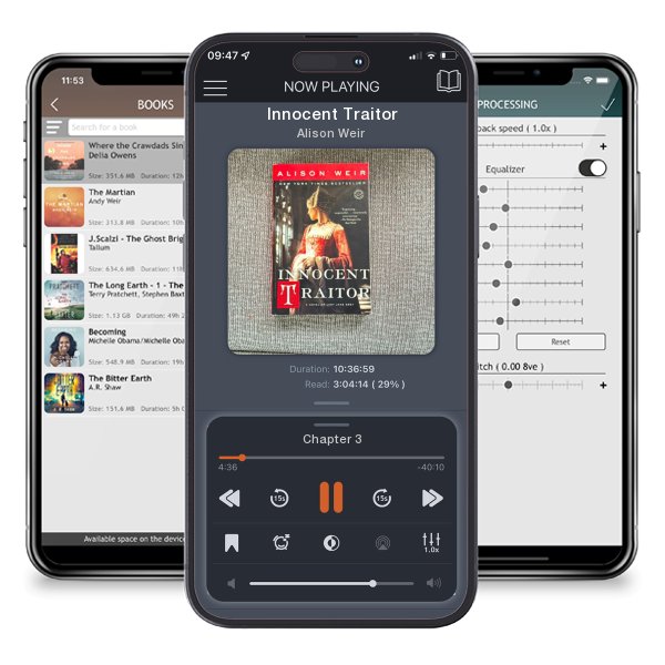 Download fo free audiobook Innocent Traitor by Alison Weir and listen anywhere on your iOS devices in the ListenBook app.