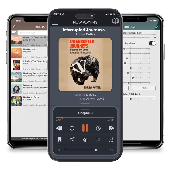 Download fo free audiobook Interrupted Journeys: Badgers and Other Roadside Distractions by Adrian Potter and listen anywhere on your iOS devices in the ListenBook app.