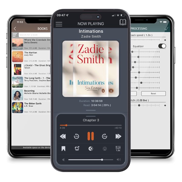 Download fo free audiobook Intimations by Zadie Smith and listen anywhere on your iOS devices in the ListenBook app.