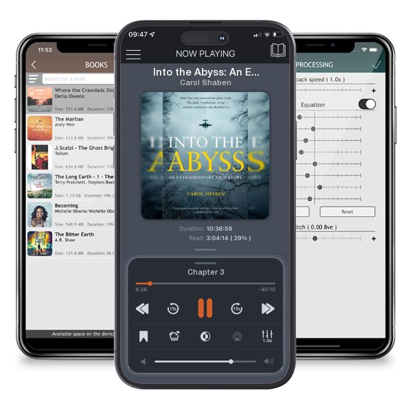 Download fo free audiobook Into the Abyss: An Extraordinary True Story by Carol Shaben and listen anywhere on your iOS devices in the ListenBook app.