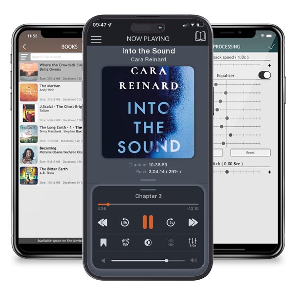 Download fo free audiobook Into the Sound by Cara Reinard and listen anywhere on your iOS devices in the ListenBook app.