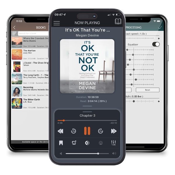 Download fo free audiobook It's OK That You're Not OK: Meeting Grief and Loss in a Culture That Doesn't Understand by Megan Devine and listen anywhere on your iOS devices in the ListenBook app.