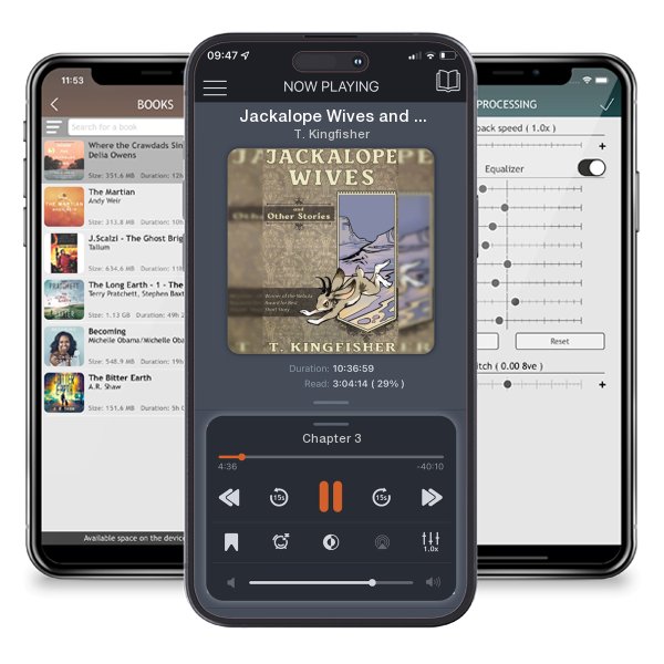 Download fo free audiobook Jackalope Wives and Other Stories by T. Kingfisher and listen anywhere on your iOS devices in the ListenBook app.