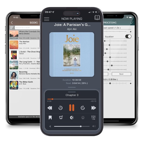Download fo free audiobook Joie: A Parisian's Guide to Celebrating the Good Life by Ajiri Aki and listen anywhere on your iOS devices in the ListenBook app.