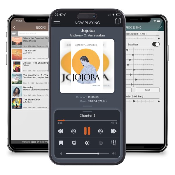 Download fo free audiobook Jojoba by Anthony O. Amiewalan and listen anywhere on your iOS devices in the ListenBook app.
