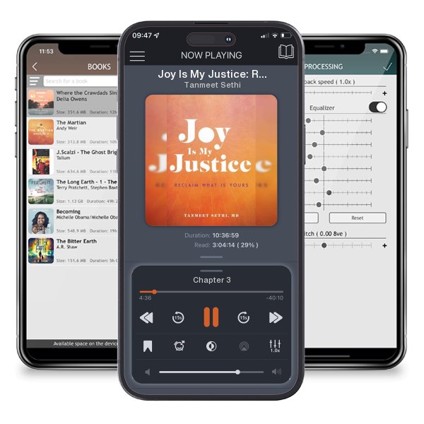 Download fo free audiobook Joy Is My Justice: Reclaim What Is Yours by Tanmeet Sethi and listen anywhere on your iOS devices in the ListenBook app.