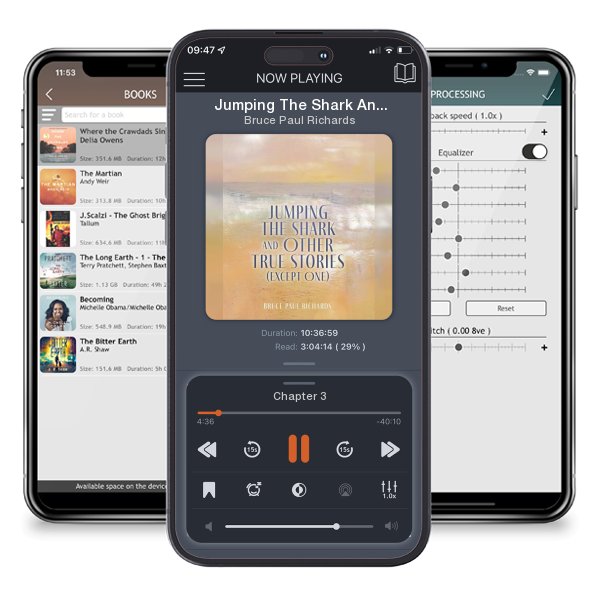 Download fo free audiobook Jumping The Shark And Other True Stories (Except One) by Bruce Paul Richards and listen anywhere on your iOS devices in the ListenBook app.