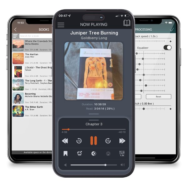 Download fo free audiobook Juniper Tree Burning by Goldberry Long and listen anywhere on your iOS devices in the ListenBook app.