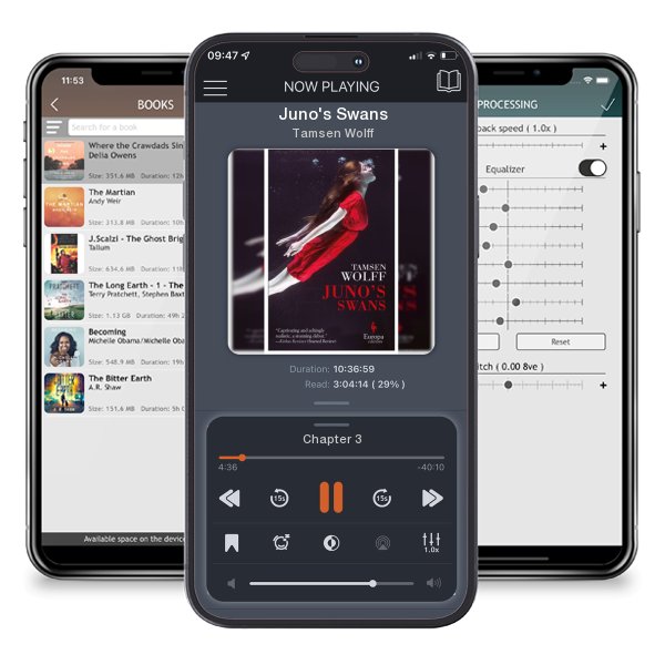 Download fo free audiobook Juno's Swans by Tamsen Wolff and listen anywhere on your iOS devices in the ListenBook app.