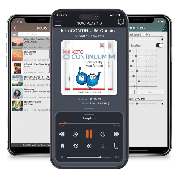 Download fo free audiobook ketoCONTINUUM Consistently Keto For Life by Annette Bosworth and listen anywhere on your iOS devices in the ListenBook app.