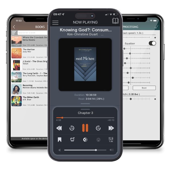 Download fo free audiobook Knowing God?: Consumer Christianity and the Gospel of Jesus by Kim-Christine Duarté and listen anywhere on your iOS devices in the ListenBook app.