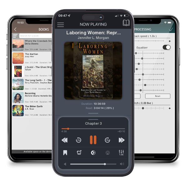 Download fo free audiobook Laboring Women: Reproduction and Gender in New World Slavery by Jennifer L. Morgan and listen anywhere on your iOS devices in the ListenBook app.