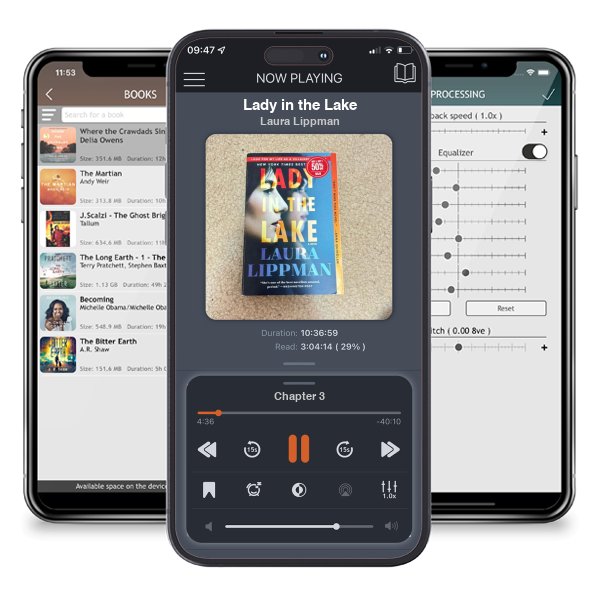 Download fo free audiobook Lady in the Lake by Laura Lippman and listen anywhere on your iOS devices in the ListenBook app.