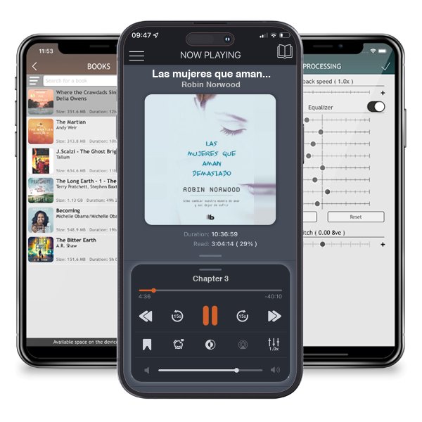 Descargar audiolibro gratis Las mujeres que aman demasiado / Women Who Love Too Much by Robin Norwood y escuchar en cualquier lugar en sus dispositivos iOS en la aplicación ListenBook.