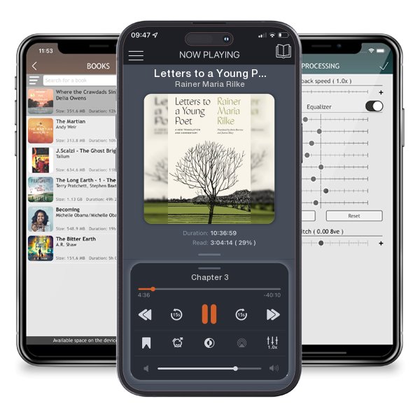 Download fo free audiobook Letters to a Young Poet: A New Translation and Commentary by Rainer Maria Rilke and listen anywhere on your iOS devices in the ListenBook app.