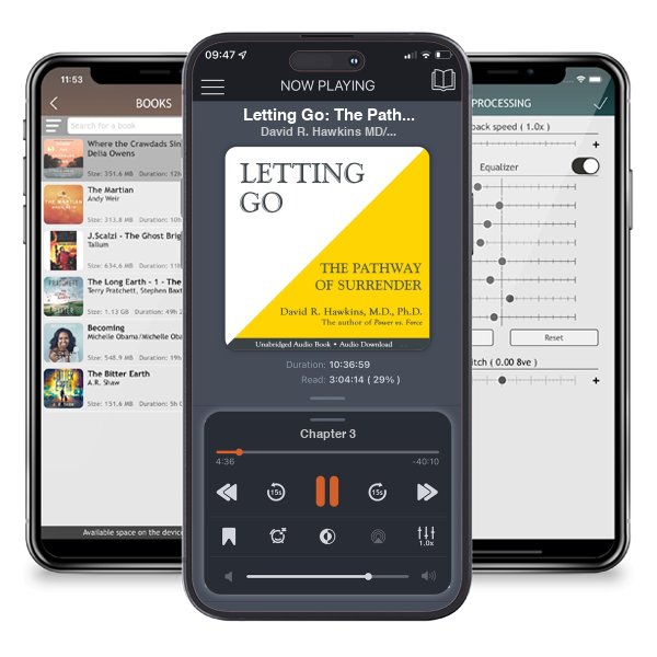 Download fo free audiobook Letting Go: The Pathway of Surrender by David R. Hawkins MD/PHD and listen anywhere on your iOS devices in the ListenBook app.