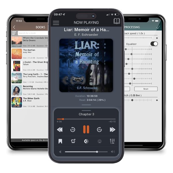 Download fo free audiobook Liar: Memoir of a Haunting by E. F. Schraeder and listen anywhere on your iOS devices in the ListenBook app.