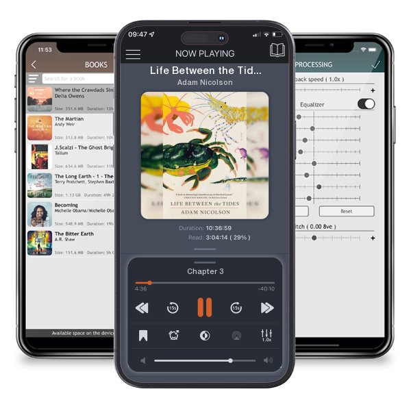 Download fo free audiobook Life Between the Tides by Adam Nicolson and listen anywhere on your iOS devices in the ListenBook app.