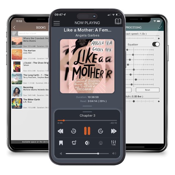 Download fo free audiobook Like a Mother: A Feminist Journey Through the Science and... by Angela Garbes and listen anywhere on your iOS devices in the ListenBook app.