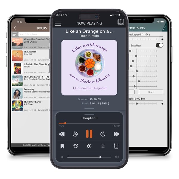 Download fo free audiobook Like an Orange on a Seder Plate: Our Feminist Haggadah by Ruth Simkin and listen anywhere on your iOS devices in the ListenBook app.