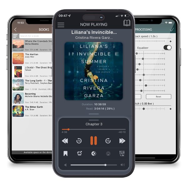 Download fo free audiobook Liliana's Invincible Summer: A Sister's Search for Justice by Cristina Rivera Garza and listen anywhere on your iOS devices in the ListenBook app.