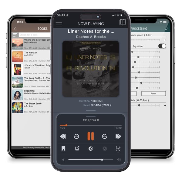 Download fo free audiobook Liner Notes for the Revolution: The Intellectual Life of... by Daphne A. Brooks and listen anywhere on your iOS devices in the ListenBook app.