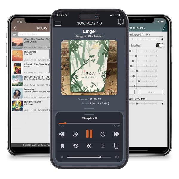 Download fo free audiobook Linger by Maggie Stiefvater and listen anywhere on your iOS devices in the ListenBook app.