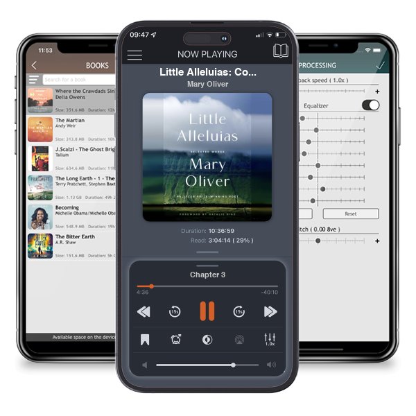 Download fo free audiobook Little Alleluias: Collected Poetry and Prose by Mary Oliver and listen anywhere on your iOS devices in the ListenBook app.