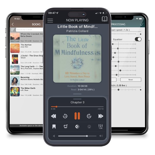 Download fo free audiobook Little Book of Mindfulness: 10 minutes a day to less stress, more peace by Patrizia Collard and listen anywhere on your iOS devices in the ListenBook app.