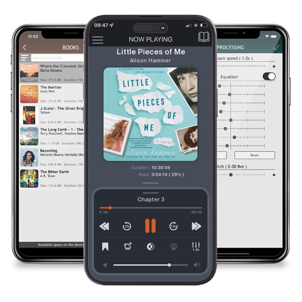 Download fo free audiobook Little Pieces of Me by Alison Hammer and listen anywhere on your iOS devices in the ListenBook app.