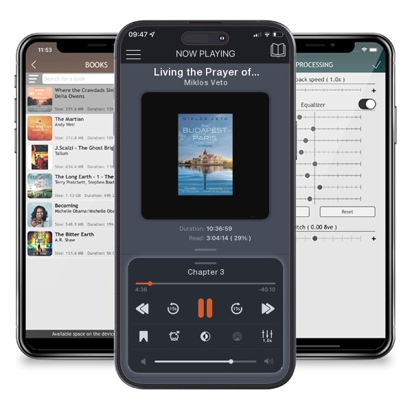 Download fo free audiobook Living the Prayer of Jesus: A Study of the Lord’s Prayer in Aramaic by Miklos Veto and listen anywhere on your iOS devices in the ListenBook app.