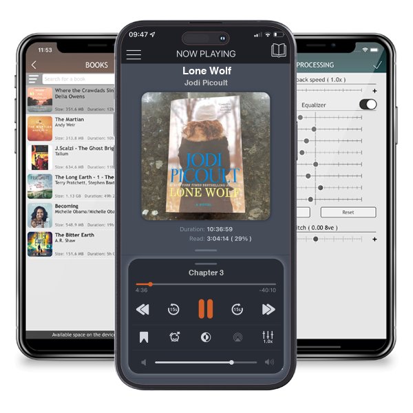 Download fo free audiobook Lone Wolf by Jodi Picoult and listen anywhere on your iOS devices in the ListenBook app.