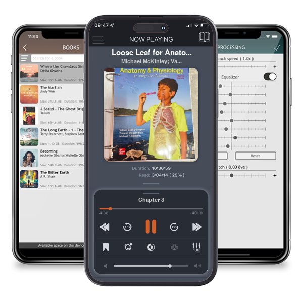 Download fo free audiobook Loose Leaf for Anatomy & Physiology: an Integrative Approach by Michael McKinley; Valerie O'Loughlin; Theresa Bidle and listen anywhere on your iOS devices in the ListenBook app.