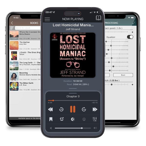 Download fo free audiobook Lost Homicidal Maniac (Answers to 