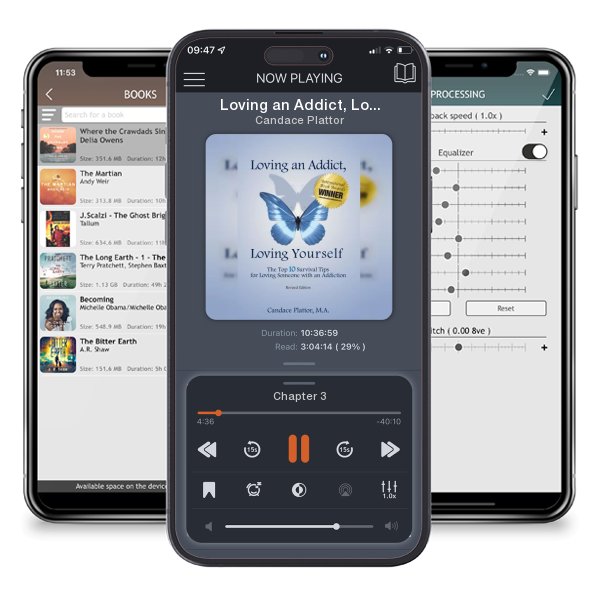 Download fo free audiobook Loving an Addict, Loving Yourself: The Top 10 Survival Tips for Loving Someone with an Addiction by Candace Plattor and listen anywhere on your iOS devices in the ListenBook app.