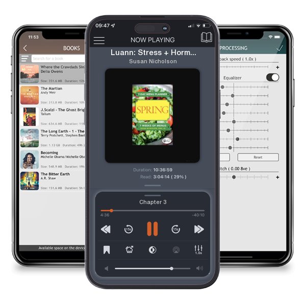 Download fo free audiobook Luann: Stress + Hormones = High School by Susan Nicholson and listen anywhere on your iOS devices in the ListenBook app.