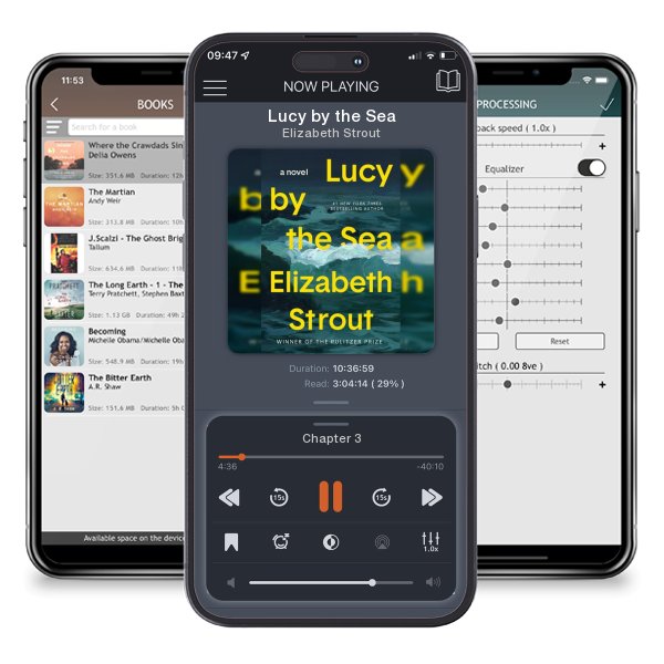 Download fo free audiobook Lucy by the Sea by Elizabeth Strout and listen anywhere on your iOS devices in the ListenBook app.
