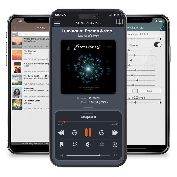 Download fo free audiobook Luminous: Poems & Inquiry for the Soul's Journey by Laura Weaver and listen anywhere on your iOS devices in the ListenBook app.